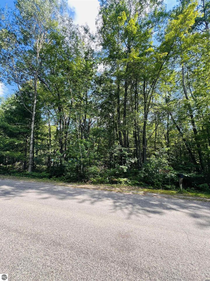 Property Photo: Lot 789 Redwine MI 48653