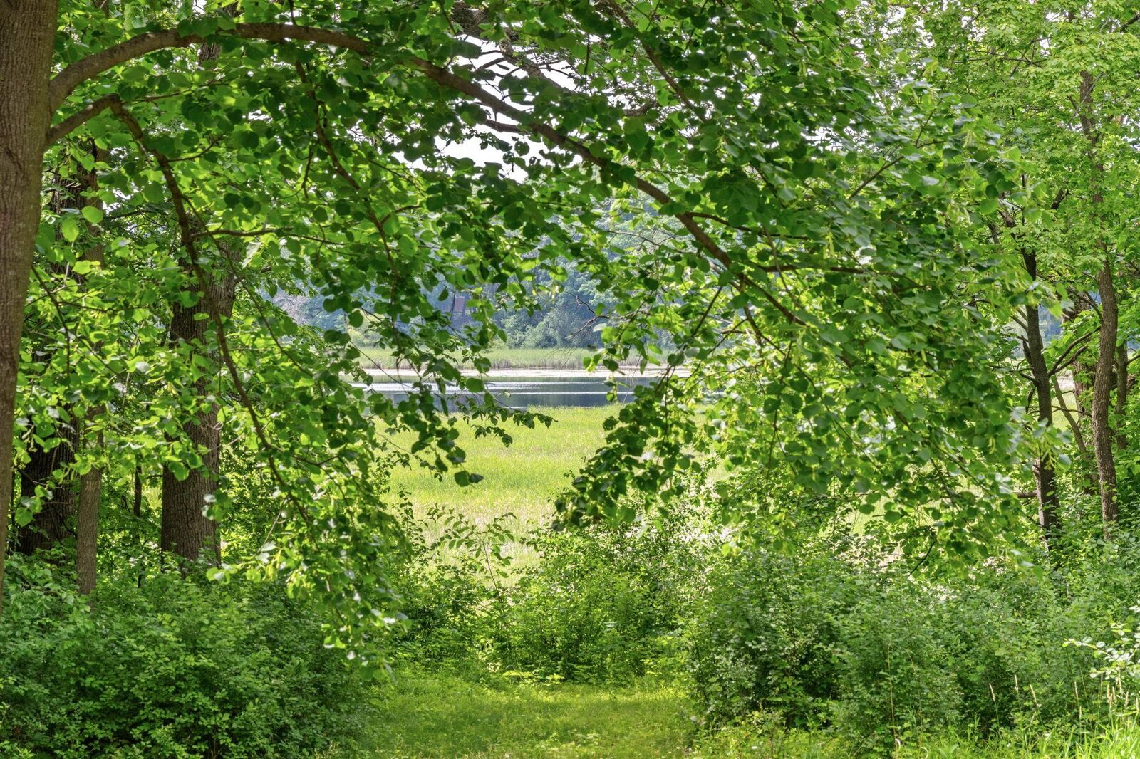 Property Photo:  585 Ferndale Road N  MN 55391 