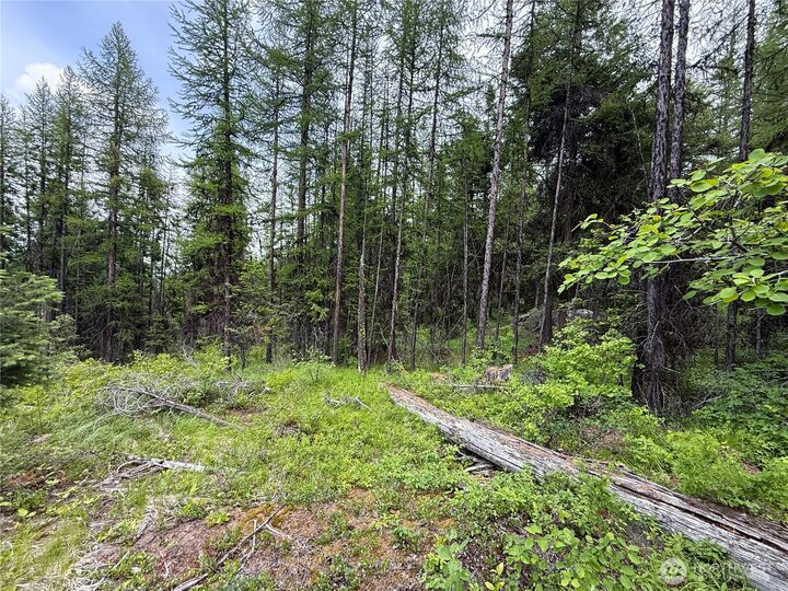 Property Photo:  0 Tbd  Mule Deer Road  WA 99166 