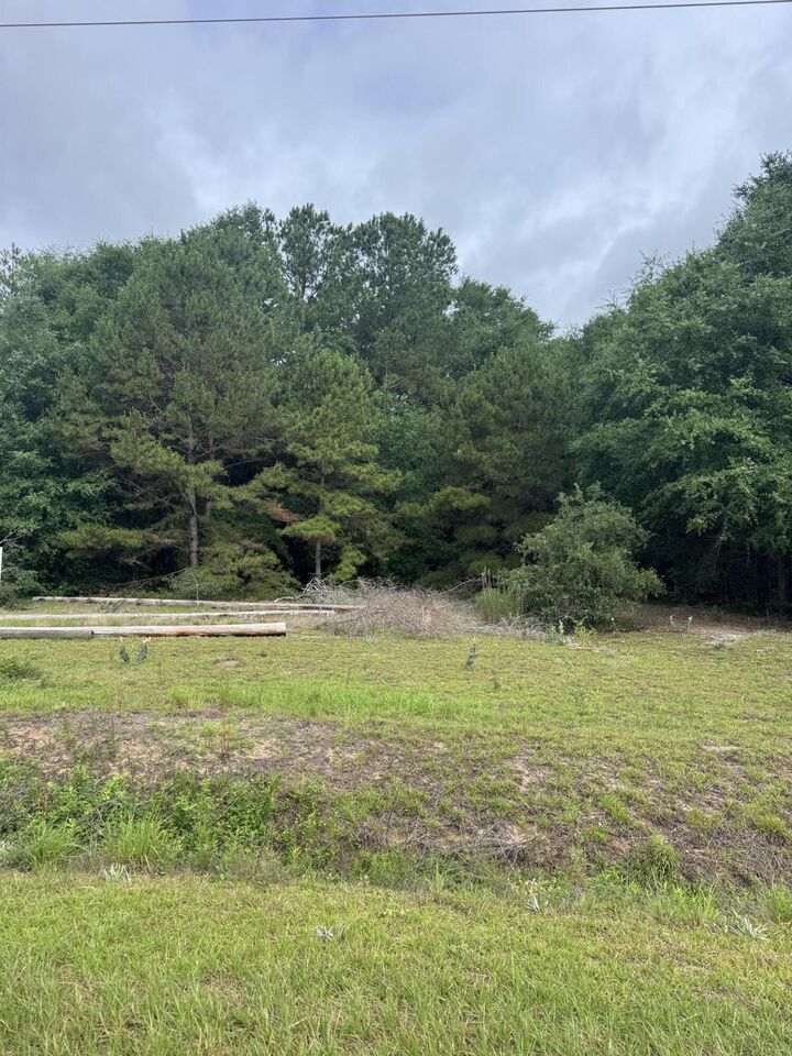 Property Photo:  00 Cooper Lane (Fronts Hwy 301 St Paul Road) Lot #13  SC 29148 
