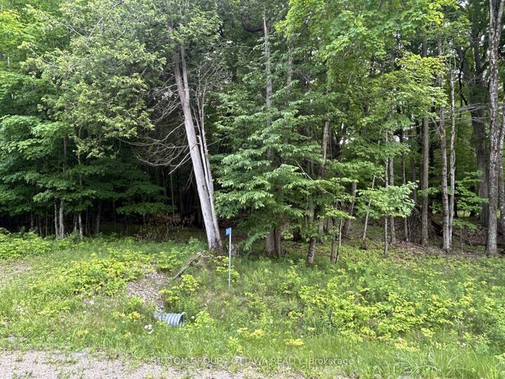 Property Photo:  14 Lumberjack Trail  ON K7H 3C7 