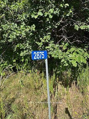 2875 County Road 21 Road — photo 1