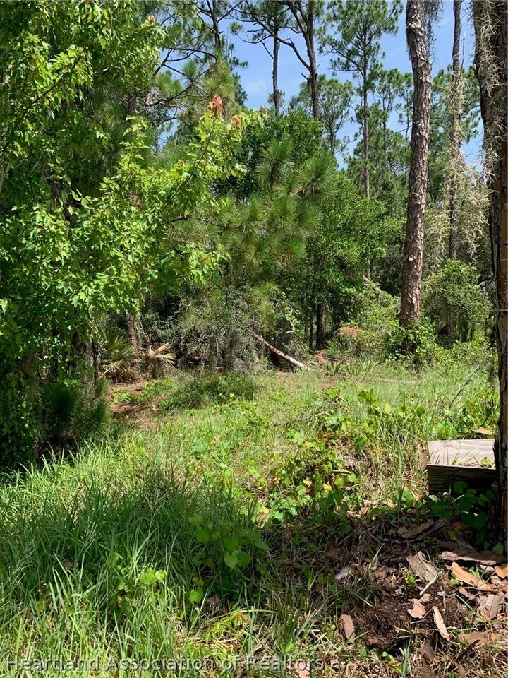 Property Photo:  1709 Stream Avenue  FL 33875 