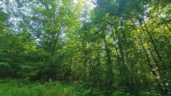 Property Photo: E Half Mile Rd WI 54844