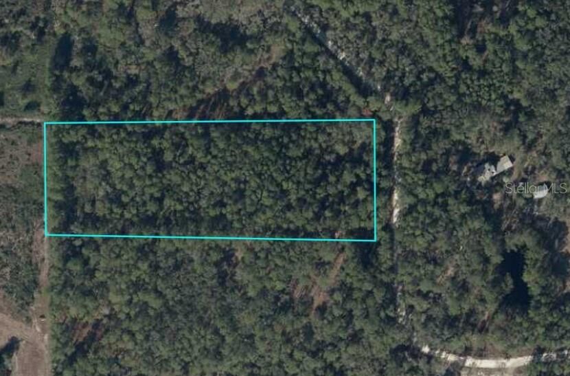 Property Photo:  Tbd SE 91st Trail  FL 32693 