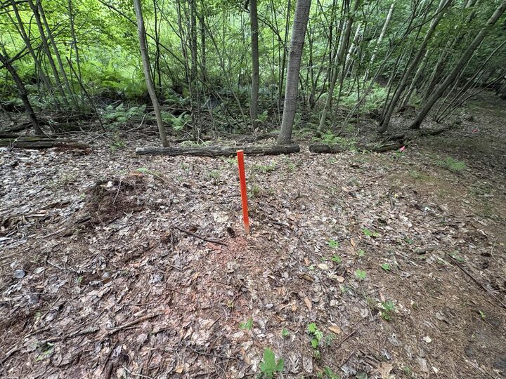 Property Photo: 109th Avenue MI 49450
