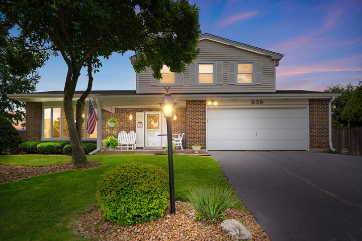 Property Photo:  539 Hamilton Avenue  IL 60559 