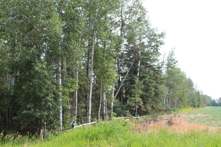 Property Photo: 155 Range SE AB T0H 1N0