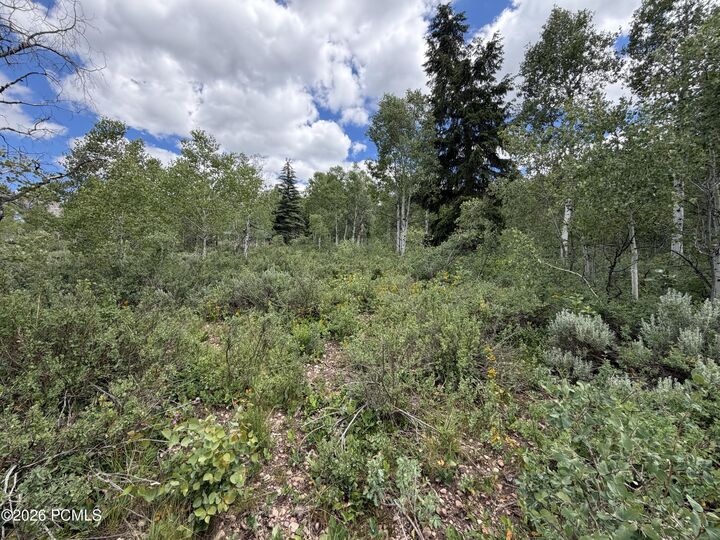 Property Photo:  5451 E Targhee Drive 335  UT 84055 