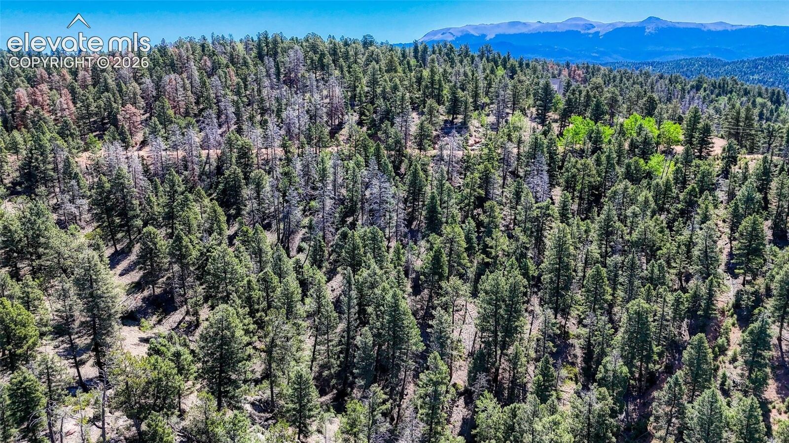 Property Photo: 3454 N Mountain Estates Road CO 80816