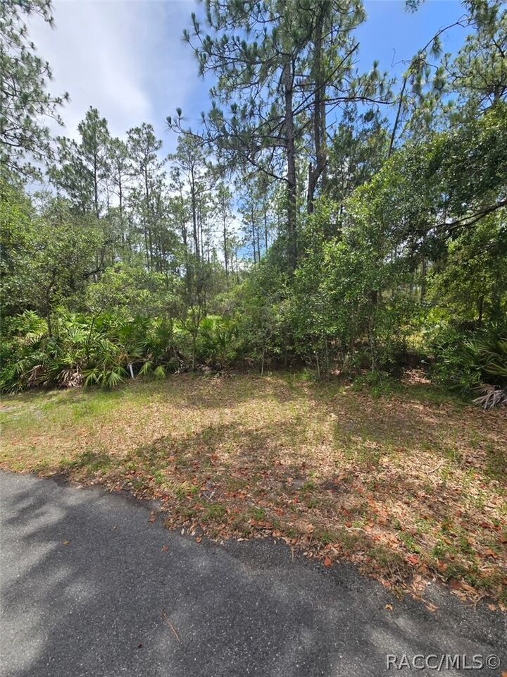 Property Photo: 28 Mangrove Court S FL 34446