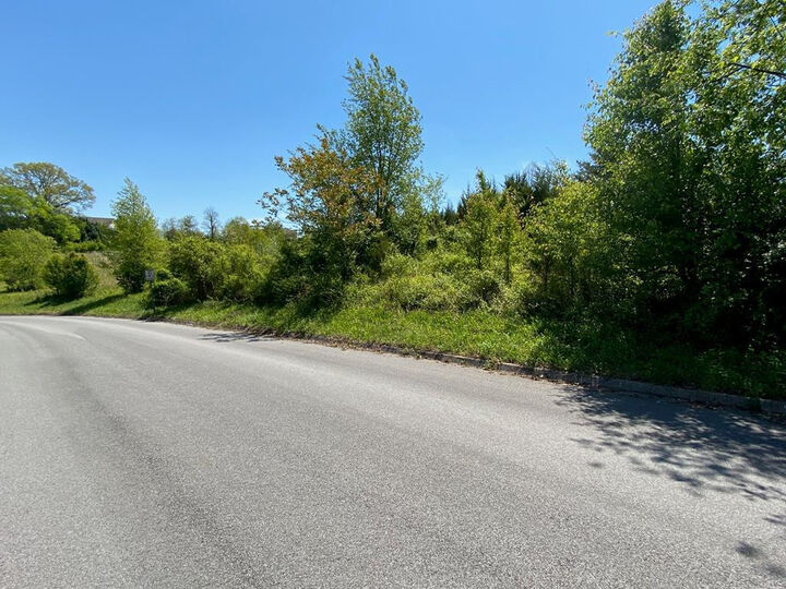 Property Photo: Lot 38 Broad River Lane TN 37876