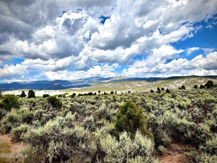 Property Photo:  1351 E Haystacker Drive  CO 81631 