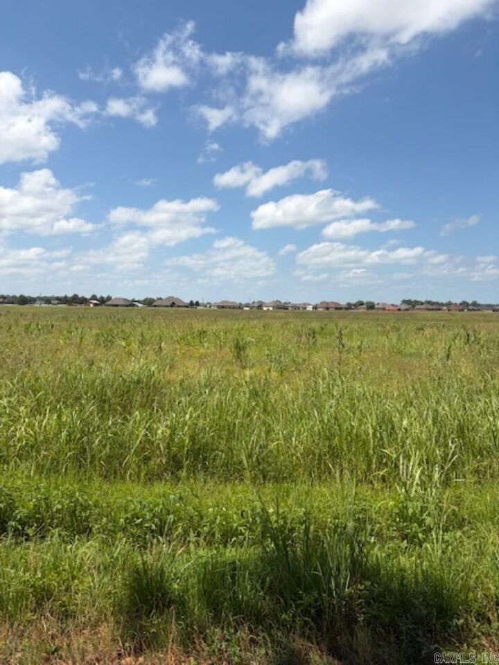 Property Photo: Lot 4 Upper Steel Bend Road AR 72142