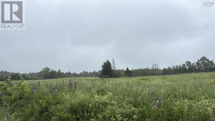 Wallie Mingo Road — photo 1