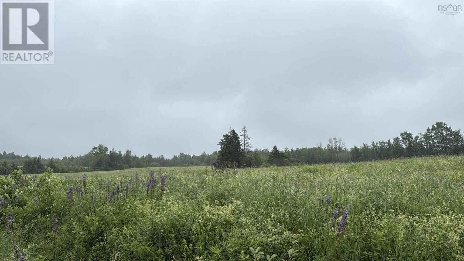 Property Photo:  Wallie Mingo Road  NS B0K 1V0 