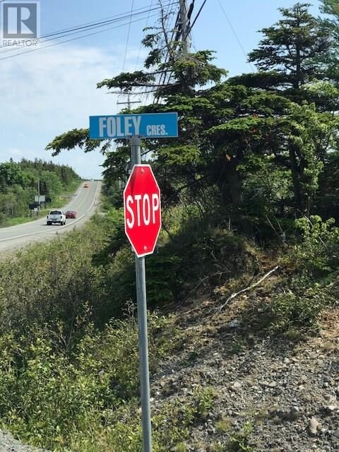 Property Photo:  13 Foley Crescent  NL A0A 3L0 