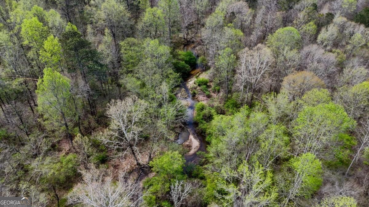 Property Photo: 0 Cross Plains Hulett GA 30116