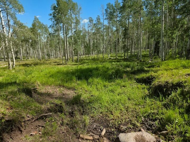 Property Photo: 40 Acres Summit Mountain Rd UT 84719