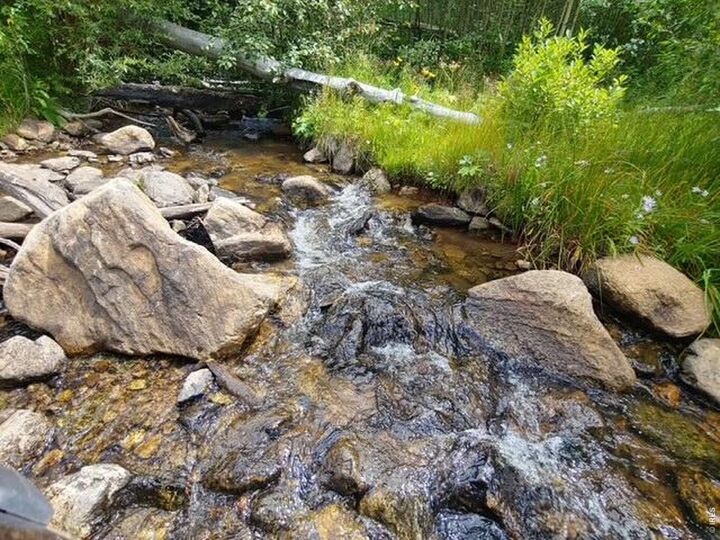 Property Photo:  Spiritwood Ln  CO 80512 