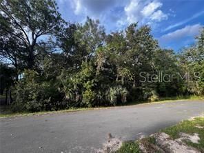 Property Photo:  Sioux Trail  FL 34747 