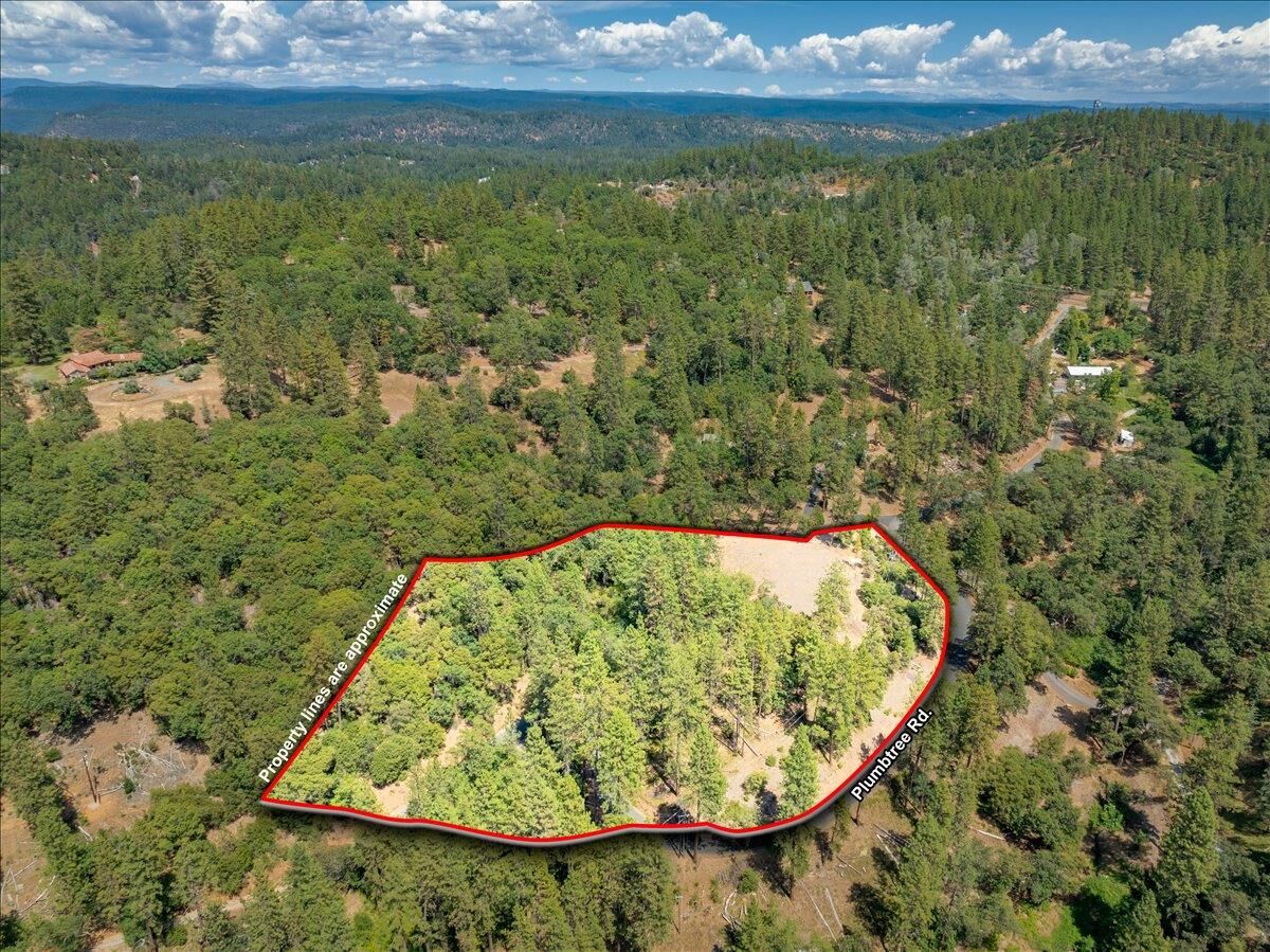 Property Photo:  22600 Plumtree Road  CA 95713 
