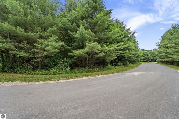 Property Photo: 36 Servers Drive MI 49648