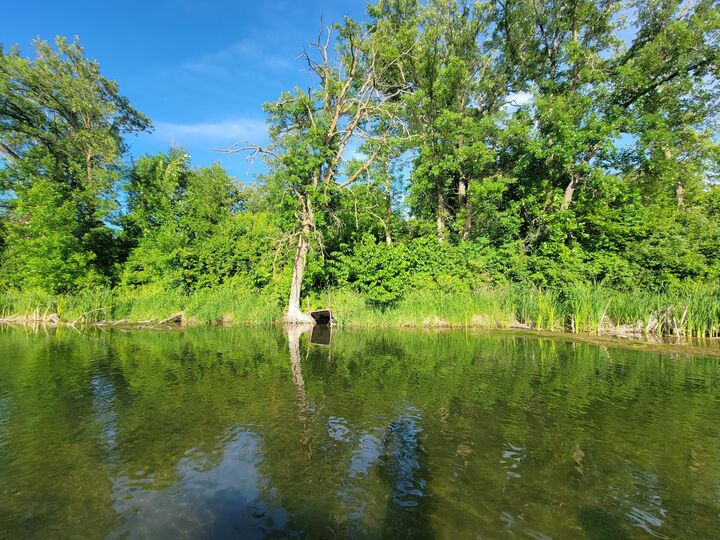 Property Photo: 40130 460th Avenue MN 56573
