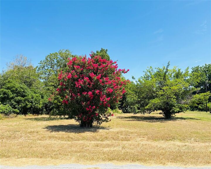 Property Photo: 52 Spring Creek Circle TX 75054