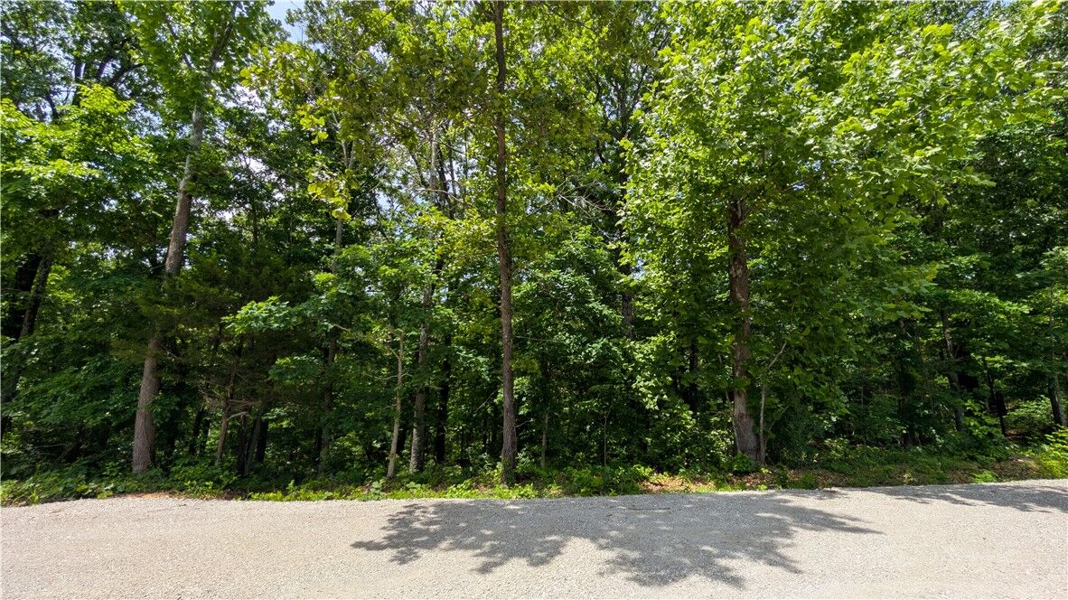 Property Photo:  Lot 41 Hornsea Lane  AR 72714 
