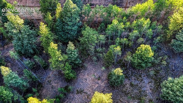 Property Photo:  364 Blue Spruce Road  CO 80814 