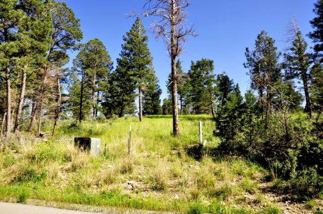 Property Photo:  237 Cummings Drive  NM 88345 