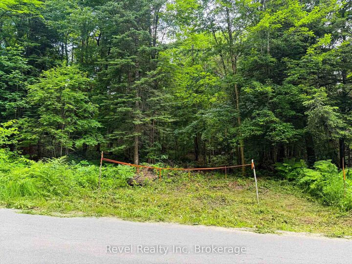 Property Photo:  Lot 1 Bird Lake Road  ON P1L 1X1 