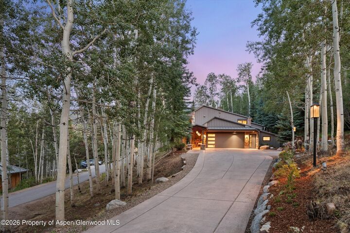 Property Photo: 45 Ermine Lane CO 81615