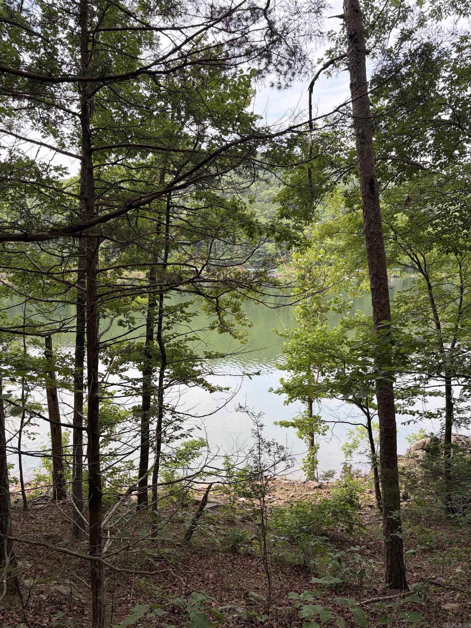 Property Photo: Bear Mountain Rd. AR 72130