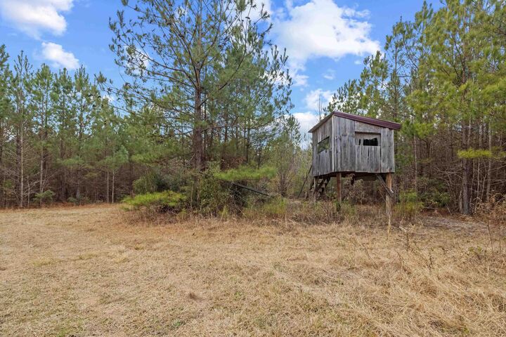 Property Photo:  Tbd 183 Acres Blakely Rd.  SC 29590 