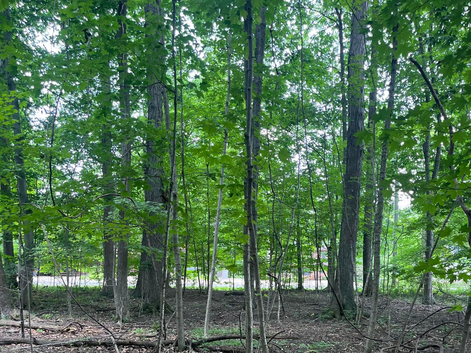 Property Photo:  7326 State Route 19  OH 43338 