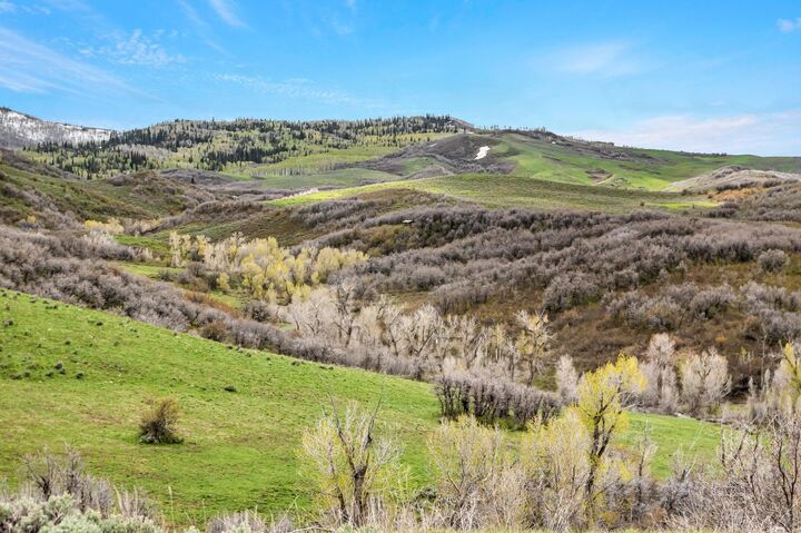 Property Photo:  Tbd County Road 80  CO 81639 