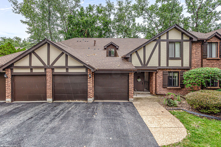 Property Photo: 8127 Chestnut Drive 58C IL 60465
