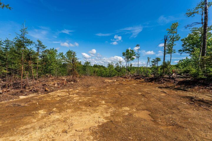 Property Photo:  Lot East Concession Road  NS B0W 1M0 
