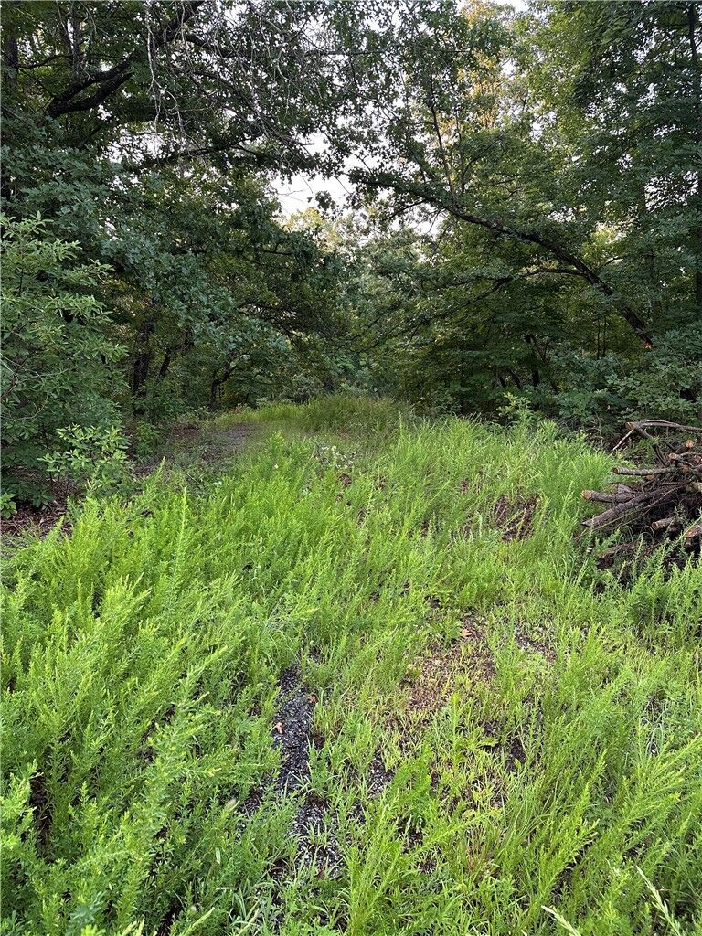 Property Photo: Tbd Denver Lane AR 72714