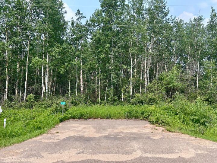 Property Photo:  67325 Churchill Park Road 238  AB T0A 2C1 