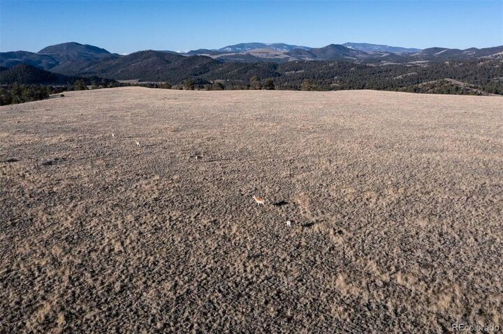 Property Photo:  0 Big Buck Road  CO 80820 