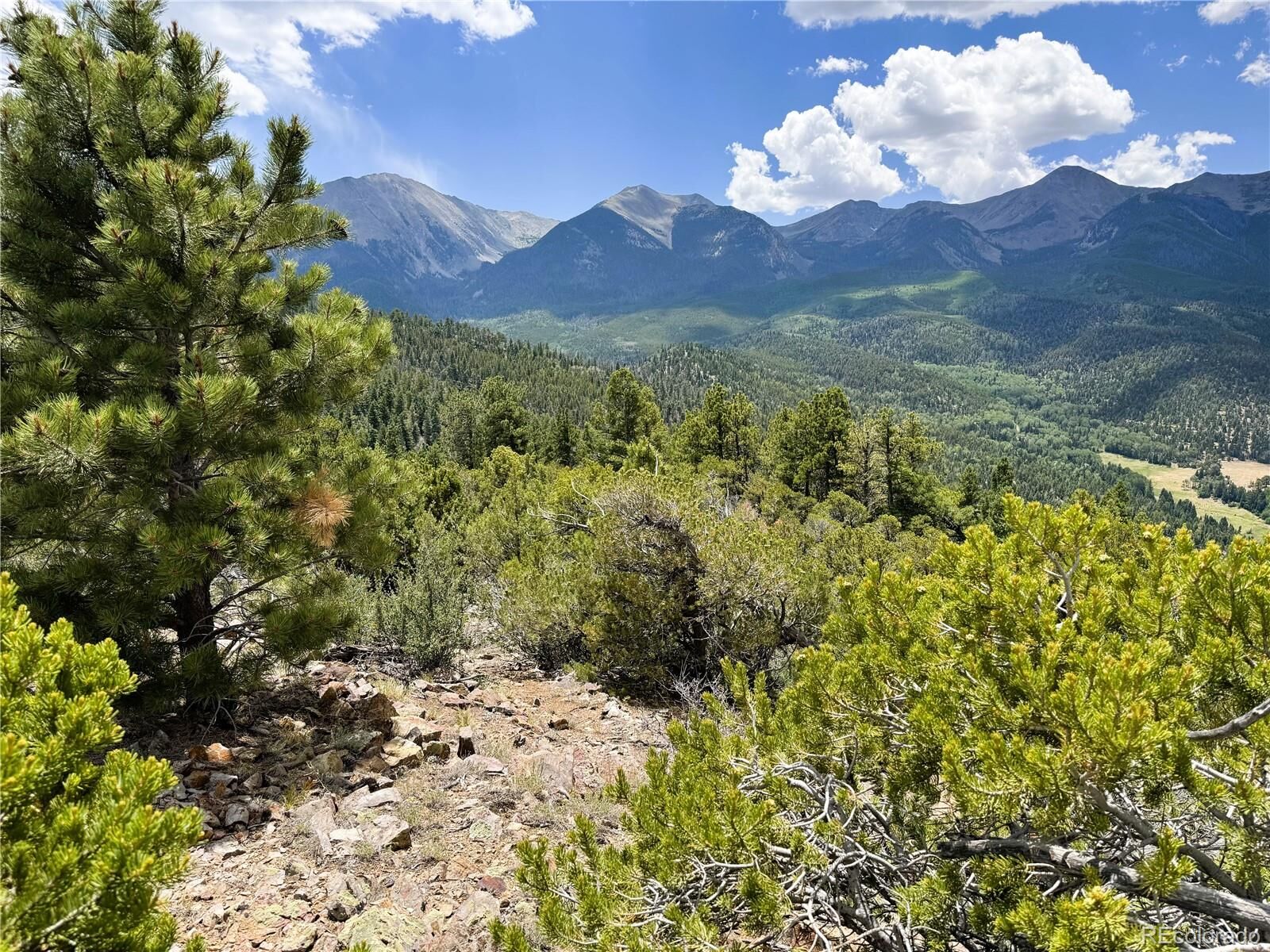 Property Photo:  Lot 54 Knotty Pine Road  CO 81233 