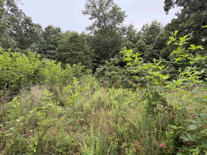 Property Photo:  Off Of Morgan Cave Road  AR 72601 