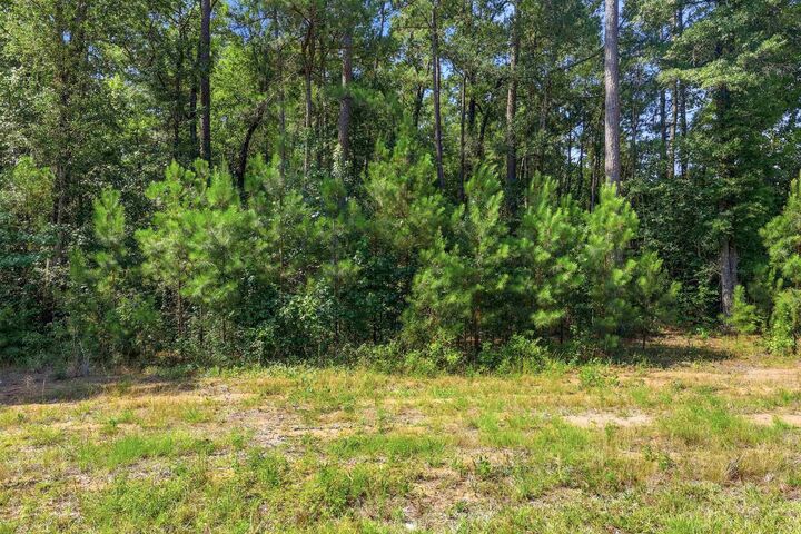 Property Photo: 4107 Highway 378 SC 29527