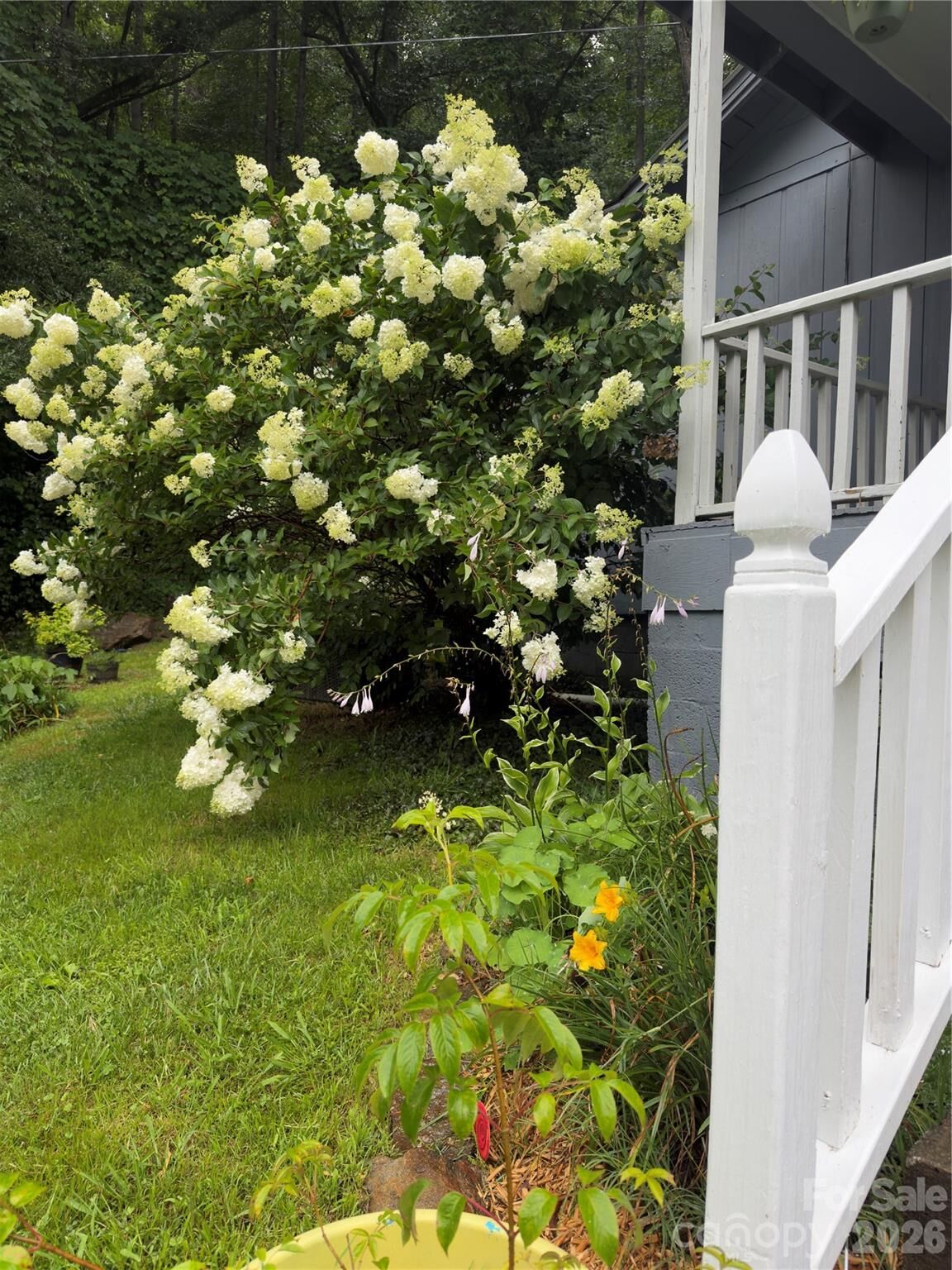 Property Photo: 6115 Skyland Drive NC 28779