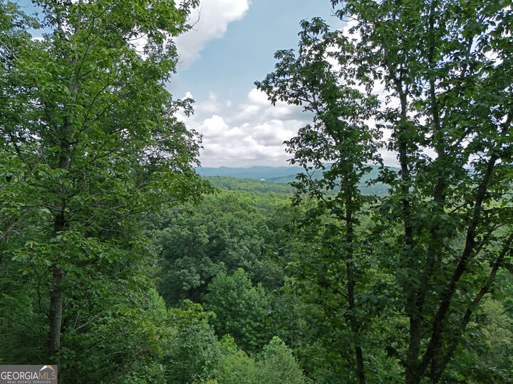 Property Photo:  Lot 71 Chicory Drive W  GA 30512 