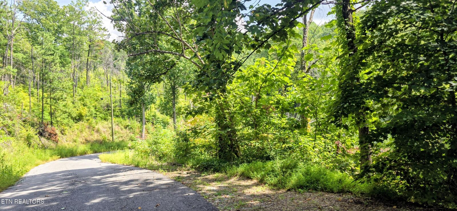 Property Photo:  Lot 14 Sugar Maple Loop Rd  TN 37862 