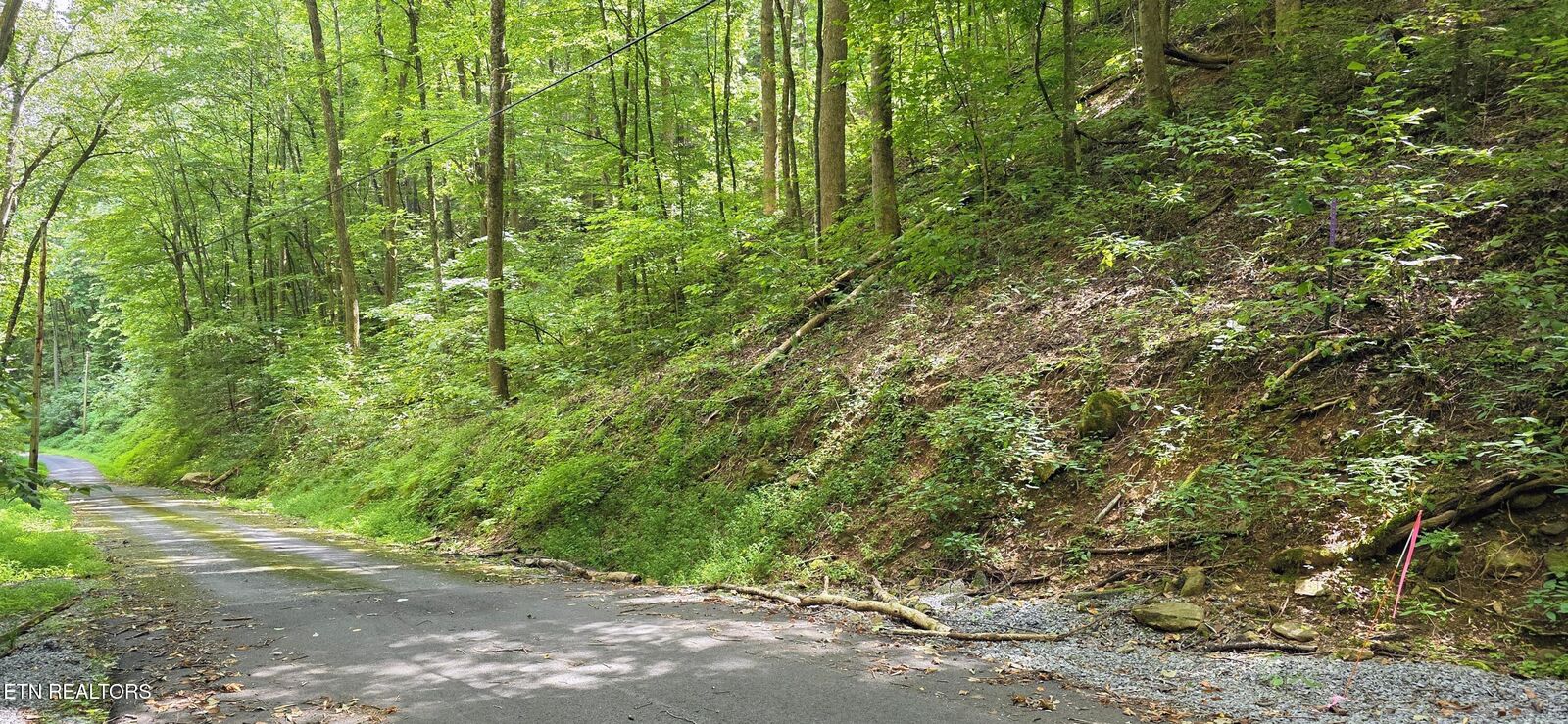 Property Photo:  Lot 0025 Black Walnut Flats Rd  TN 37862 